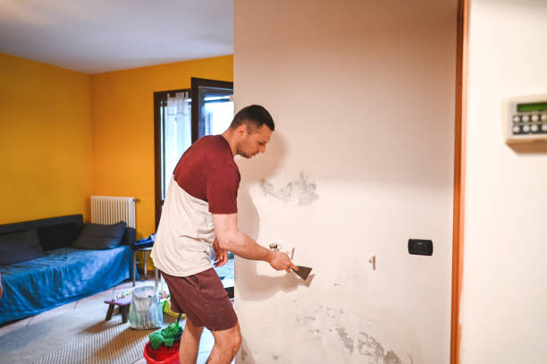 Best Mold Cleaning Services  in Shandon, CA