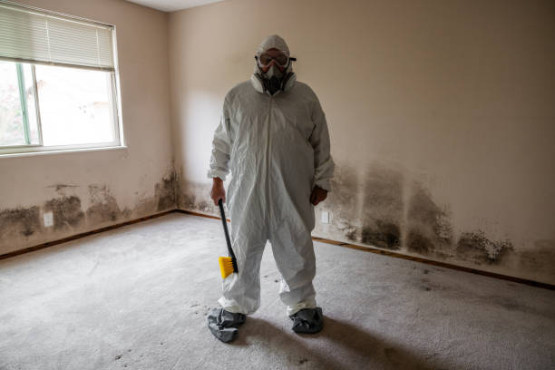 Best Professional Mold Removal  in Shandon, CA
